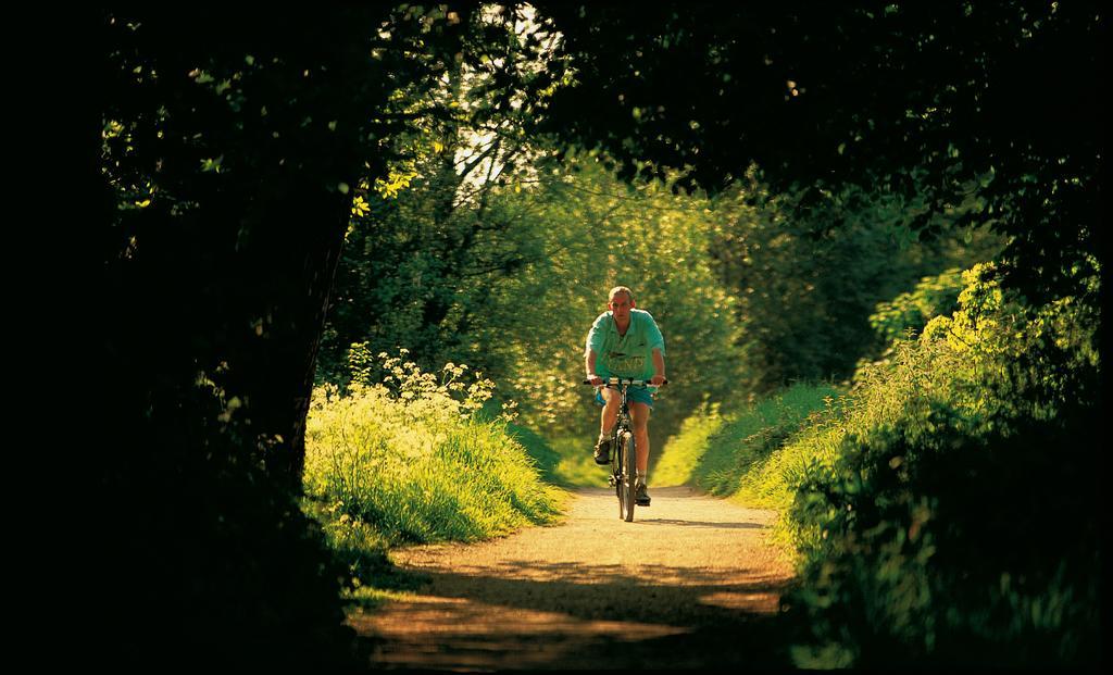 Troy Self Catering Village Limerick Ireland Exterior foto